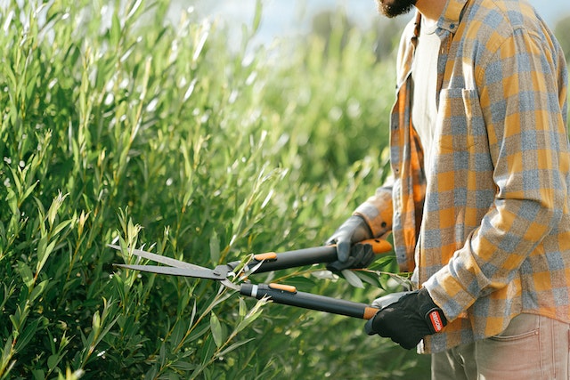 Jardinage et Entretien des Espaces Extérieurs